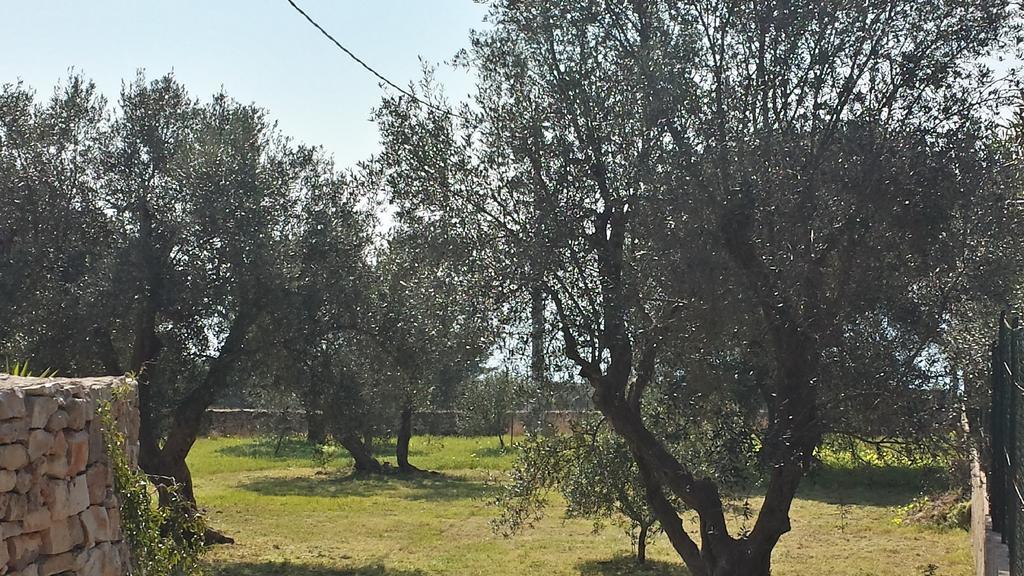 Villa Minteco Patù Zewnętrze zdjęcie