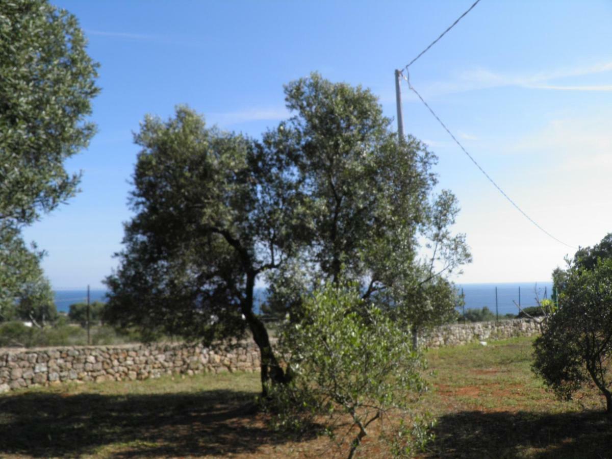 Villa Minteco Patù Zewnętrze zdjęcie
